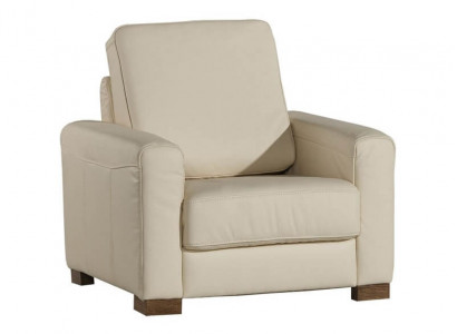 Sessel Einsitzer Lounge Sofa Fernseh Einsitzer Couch Wohnzimmer Möbel Sofas Neu